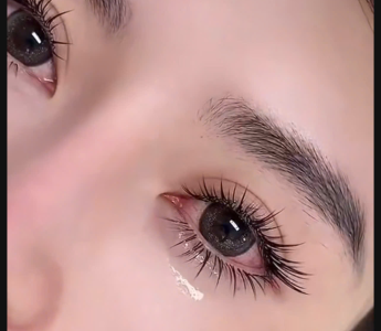 Nối mi